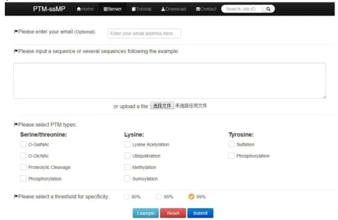 Figure 2. A semi-screenshot to show the server-page of the PTM-ssMP web-server at http://bioinformatics.ustc.edu.cn/PTM-ssMP/server/ 
