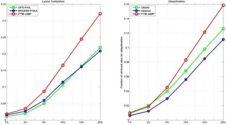 Figure 7. A semi-screenshot to show an example of PTM-ssMP prediction result 