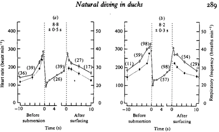 Fig. 2 by continuing the 5 s post-dive values of the first dives (Fig. 2pre-dive values for the second and subsequent dives (Fig
