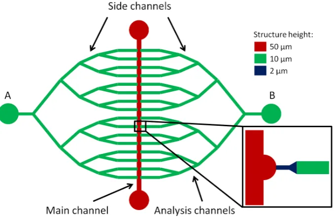 Figure 4: Conceptual design of the parallen SCA platform (not on scale). The dimensions of the system are2 cm × 1 cm