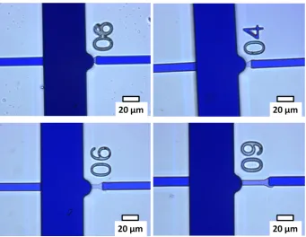 Figure 19: Determination of the ﬂow rate established with passive pumping when the chip is loaded with1.5 µL of cell suspension on inlet 3 and 15 µL of HEPES buffer on inlet 4
