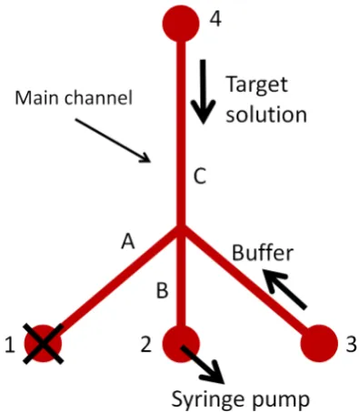 Figure 20: Focusing ﬂuorescein towards the traps using passive pumping. A: Flow pattern that arises shortlyafter loading the inlets
