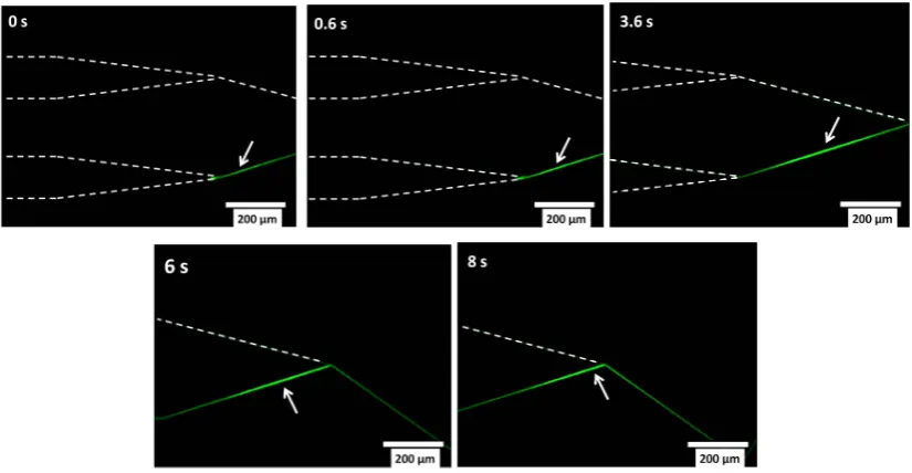 Figure 26: Current measurement as a function of various EOF voltages. The behaviour is with a goodapproximation linear, as expected, but the value of the current is on average 40 times lower than predictedby the model (see ﬁgure 16).