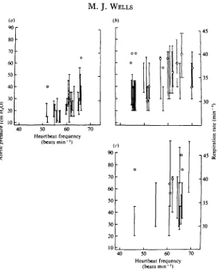 Fig. 6. Blood pressure, heartbeat frequency and respiration rate (o) from the three octopusesmeasured on a number of occasions after exercise and,with the individual at rest: (a) female