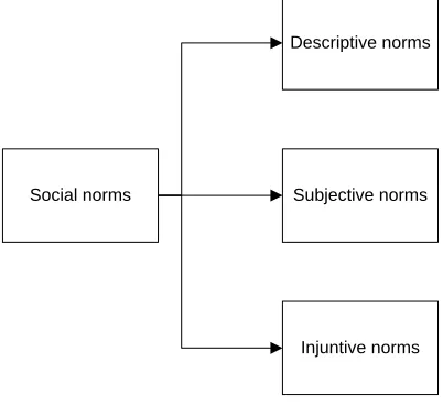FIGURE 7:  SOCIAL INFLUENCE 