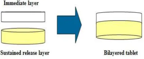 Figure 1: Bi-layered tablet 