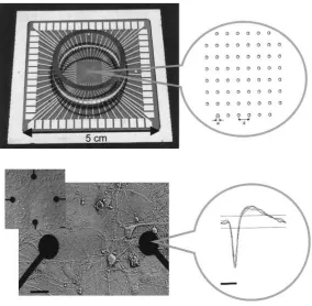 Figure 4. A commercially available substrate integrated multi-electrode array (MEA) containing 60 electrodes