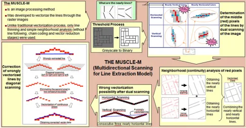 Figure 1.MUSCLE model process.