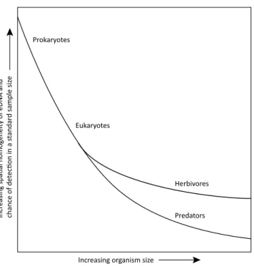 Figure 8.  Schematic  of  the  relationship  between  the  size  of 