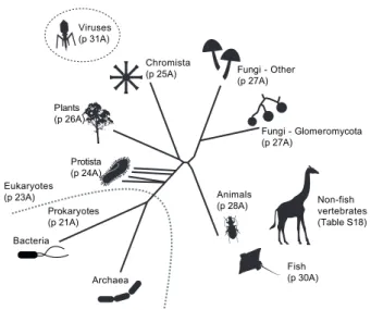 Figure 9. Taxa for which individual DNA amplification protocols 