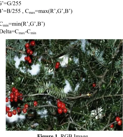 Figure 2. HSV Image 