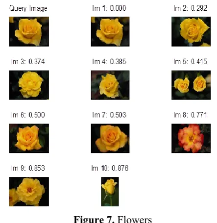 Figure 7. Flowers 