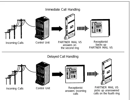 Figure 1-2. Immediate and Delayed Call Handling