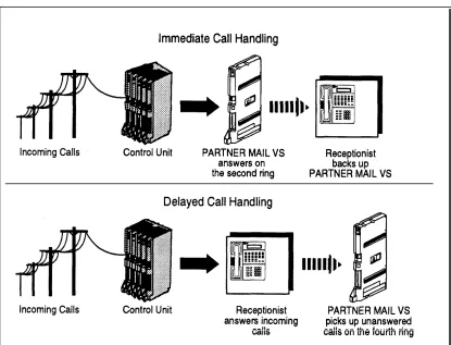 Figure 1-2. Immediate and Delayed Call Handling