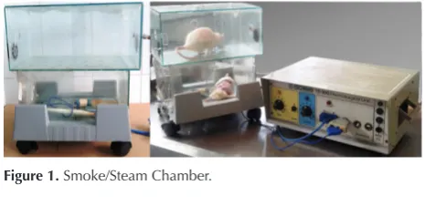 Figure 1. Smoke/Steam Chamber.