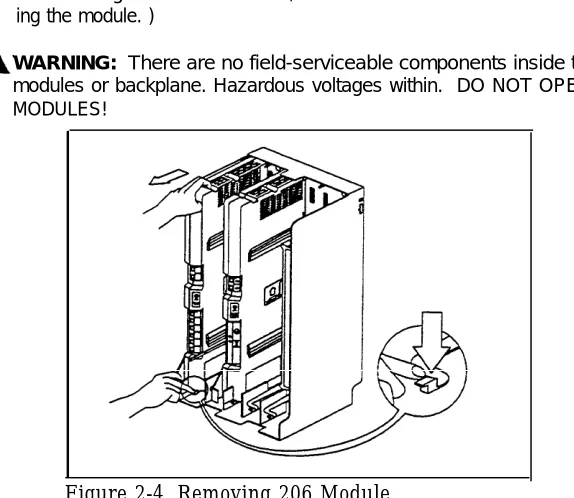 Figure 2-4. Removing 206 Module