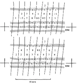 Fig. 4. This figure shows the effect of velocity of scrape. Speed of skin stimulator hair tip acrossthe most sensitive region of a dorsal receptive field plotted against number of impulses perscrape recorded in the dorsal nerve