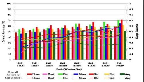 Figure 3. Classification results using single texture and multi-scale approach 