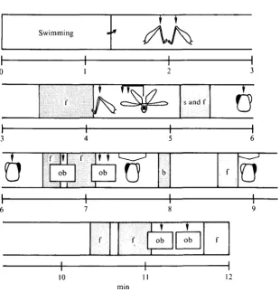 Fig. 2. The temporal sequence of behavioural acts performed by an adult locust when dryingitself after a swim