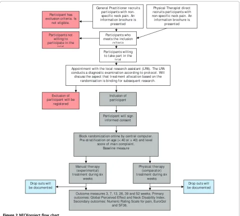 Figure 2 NECKproject flow chart.