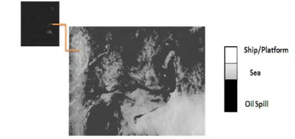 Figure 2 shows the implementation of entropy algorithm with window 7 x 7 pixels and lines