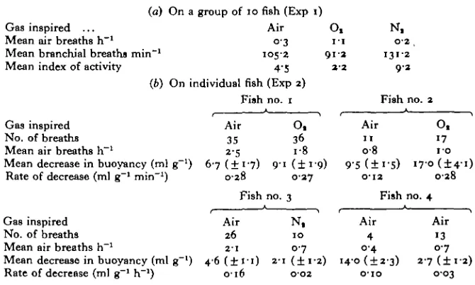 Table 3. Changes in buoyancy of individual H. thoracatum andB. splendens during daily observations