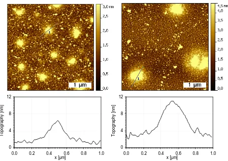 Figure 3.5 – AFM topography scans and cross-sectional height profiles of hillock  smooth, wide shape suggests the hillocks are part of the PEI layer, rather than formations on two samples of PEI on Al2O3, measured after nanoparticle deposition