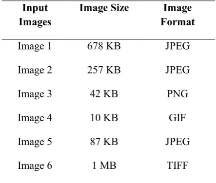 TABLE I. Input Image Size and their Formats  