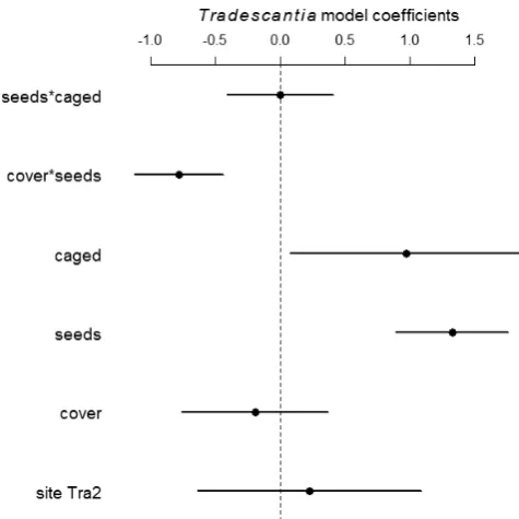 Figure 2. Estimated effects of site, seed sowing (‘seeds’), and caging (‘caged’) on sown native seedling abundance in subplots after 2 years at sites invaded by plectranthus