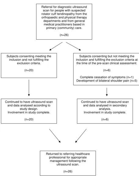 Figure 1Participant progression through the studyParticipant progression through the study.