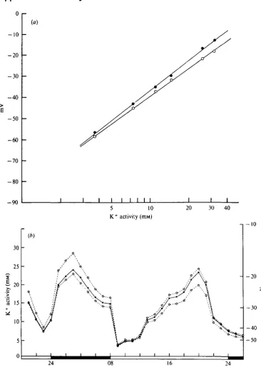 Fig. i. (a) Calibration lines for K+observed potential changes (R.H. ordinate) and activity (L.H