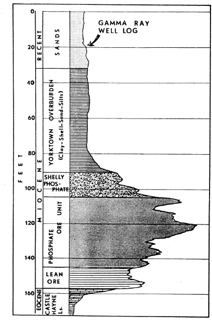 FIGURE 2. GEOLOGIC SECTION AND GAMMA RAY WELL LOG THROUGH TEXAS GULF ORE BODY (SH73) 