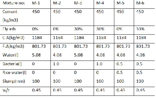 Figure 4 :  Cultivated bacteria in conical flask 