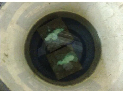 Figure 9. Crack filled with solution with bacteria 