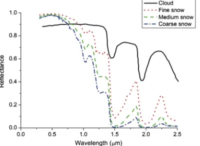 Fig. 4 Spectral reflectance curves of typical cloud and snow.