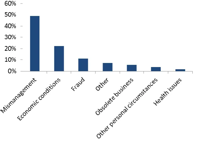 Figure 6 – Causes for bankruptcy (Blom, 1996)