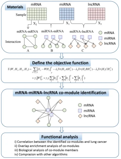 Figure 1. Flowchart showing the identification of ceRNA co-modules. 
