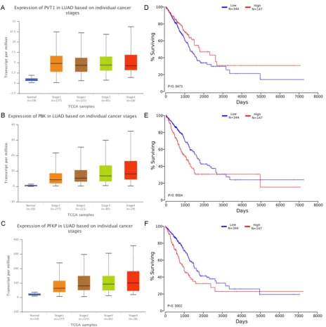 Figure 5. A-C Expression of RNA on individual cancer stages. The x-axis indicates different pathological stages, and the five colors indicate normal, stage 1, stage 2, stage 3 and stage 4 respectively