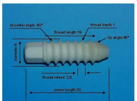 Figure 1 Design specification of the 8 mm BC interference screw with hexagon head.