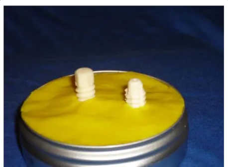 Figure 3 7 mm, 8 mm and 9 mm BC interference screws with screw driver adapter.