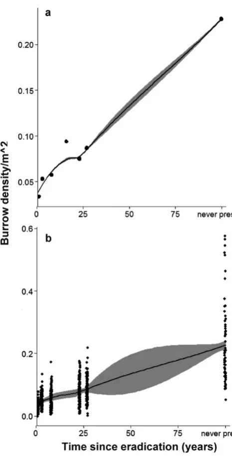 Figure 2. Predicted burrow density (per m2) at different time periods after rat eradication
