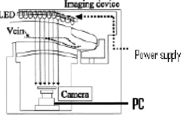 Figure 4. Finger Vein Extraction Pattern 