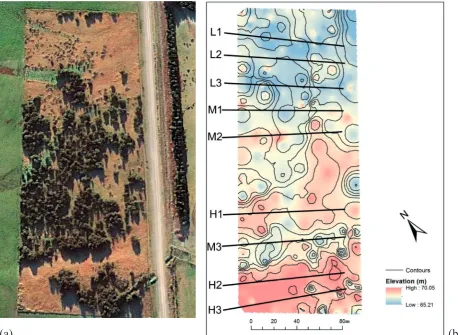 Figure 1. Aerial photograph of Bankside Scientific Reserve showing dominant kānuka, matagouri dotted at the north end and greener low-lying areas draining from pasture (a) and elevation map and location of sampling transects (b).
