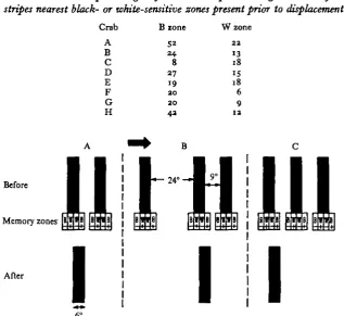 Table 2. Reductions as percentages of standard response strength caused by extra