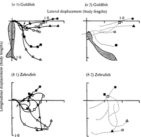Fig. a. Displacement pathway (a 1body bend, and the initial orientation at the beginning of the response are standardized asphase