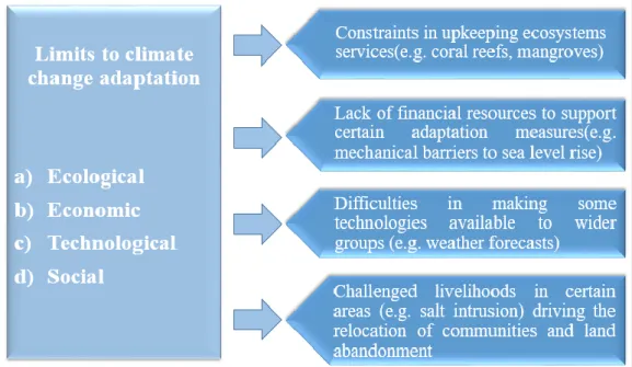 Figure 1. Some examples of the limits to climate change adaptation. 