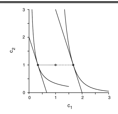 Figure 2 Agents’ Problems’ Solutions at Competitive Equilibrium with Lump-Sum Taxes Implementing the Utilitarian Optimum