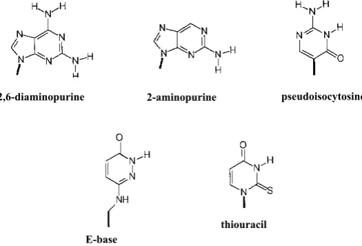 Figure 5. Chemical structures of a selection of PNA monomer units. Cf. References 18 (cyclohexyl), 19 (proline), 20 (ethylamine), 21 and 22 (amino acids), 23 (retro-inverso), 24 (phosphono), 25 