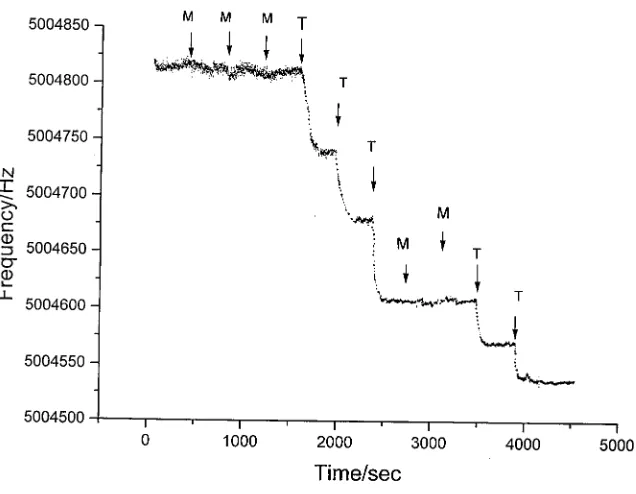 Figure 2. Frequency-time response of a PNA/QCM to additions of the target (T)  and mismatch (M)oligonucleotides