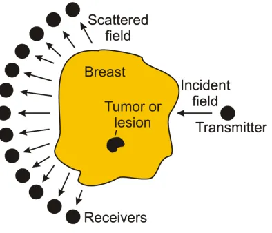 Figure 2.1: The basic microwave imaging problem with a tumor present.
